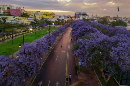 Weekend Escape In Abha Package (3 days 2 nights)