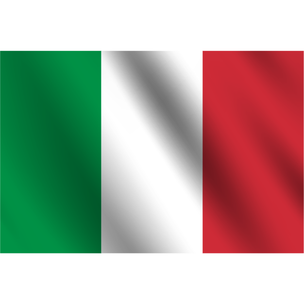 flag 11
