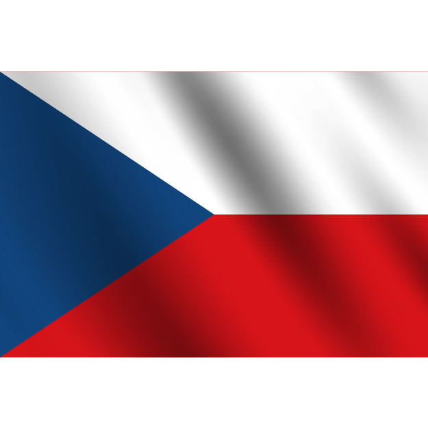 flag 12