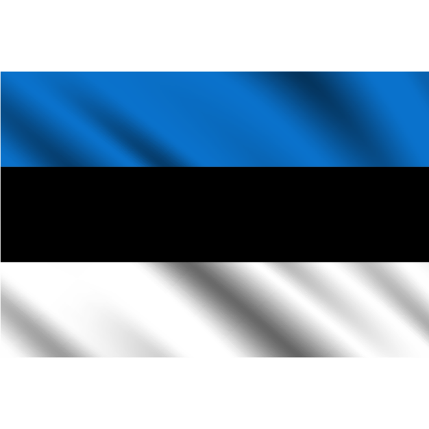 flag 13