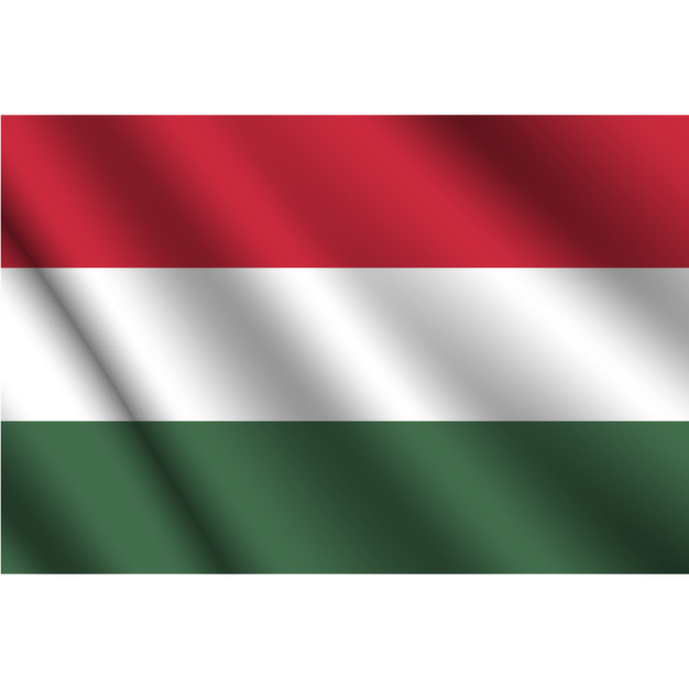 flag 19