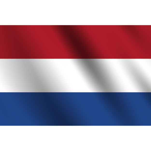 flag 29