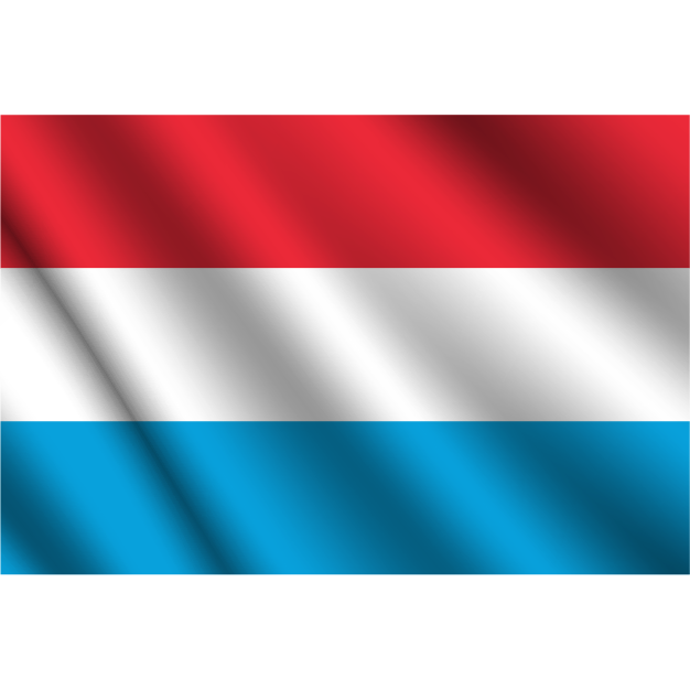 flag 31