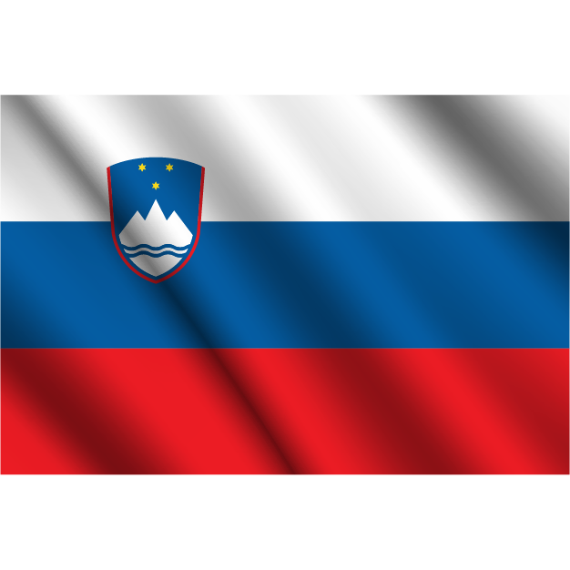 flag 32